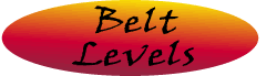 Karate Belt Levels